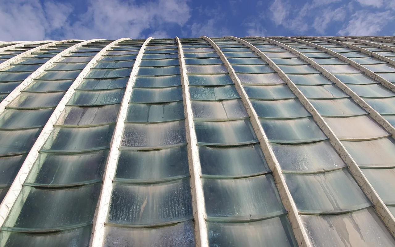 Curved glazing bars and glass panes of the palm house roof